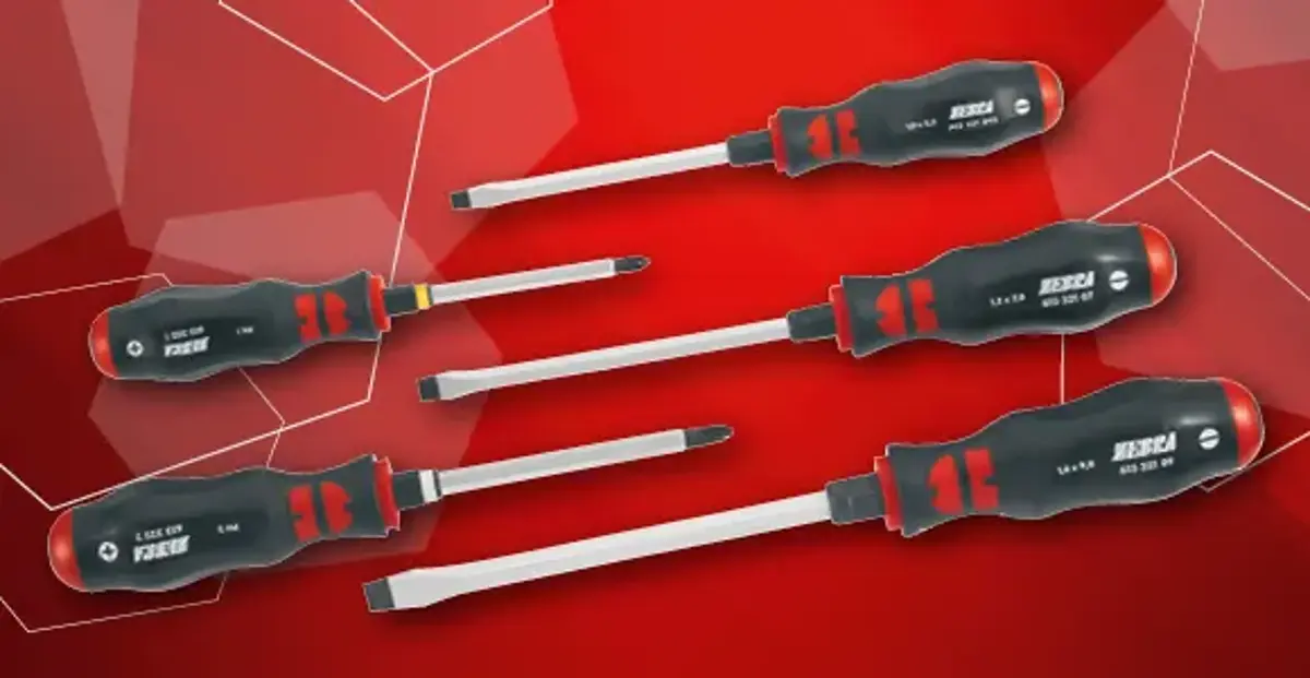 Werkzeug des Monats: Schraubendreher Satz